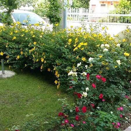 Casa Nanny Apartment Monzambano Bagian luar foto